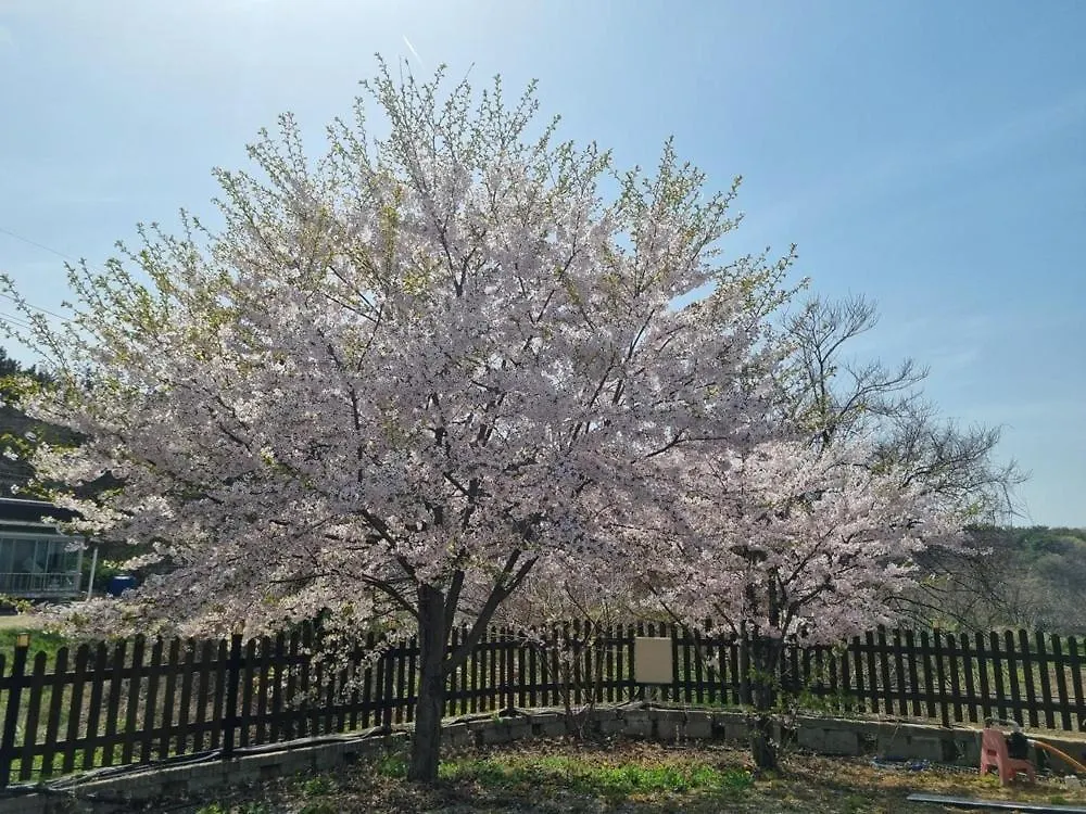 Forest Caravan Pension Incheon 0*,  South Korea