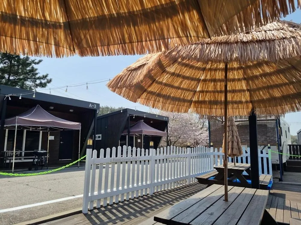 Forest Caravan Pension Incheon Guest house