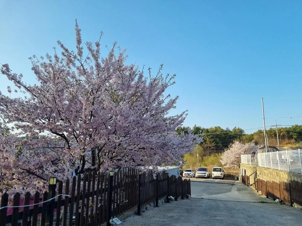 Forest Caravan Pension Incheon Guest house
